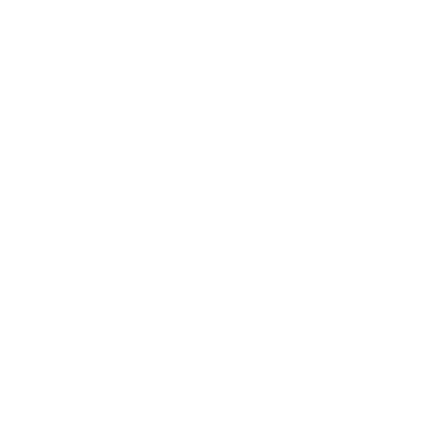 Logo anddata